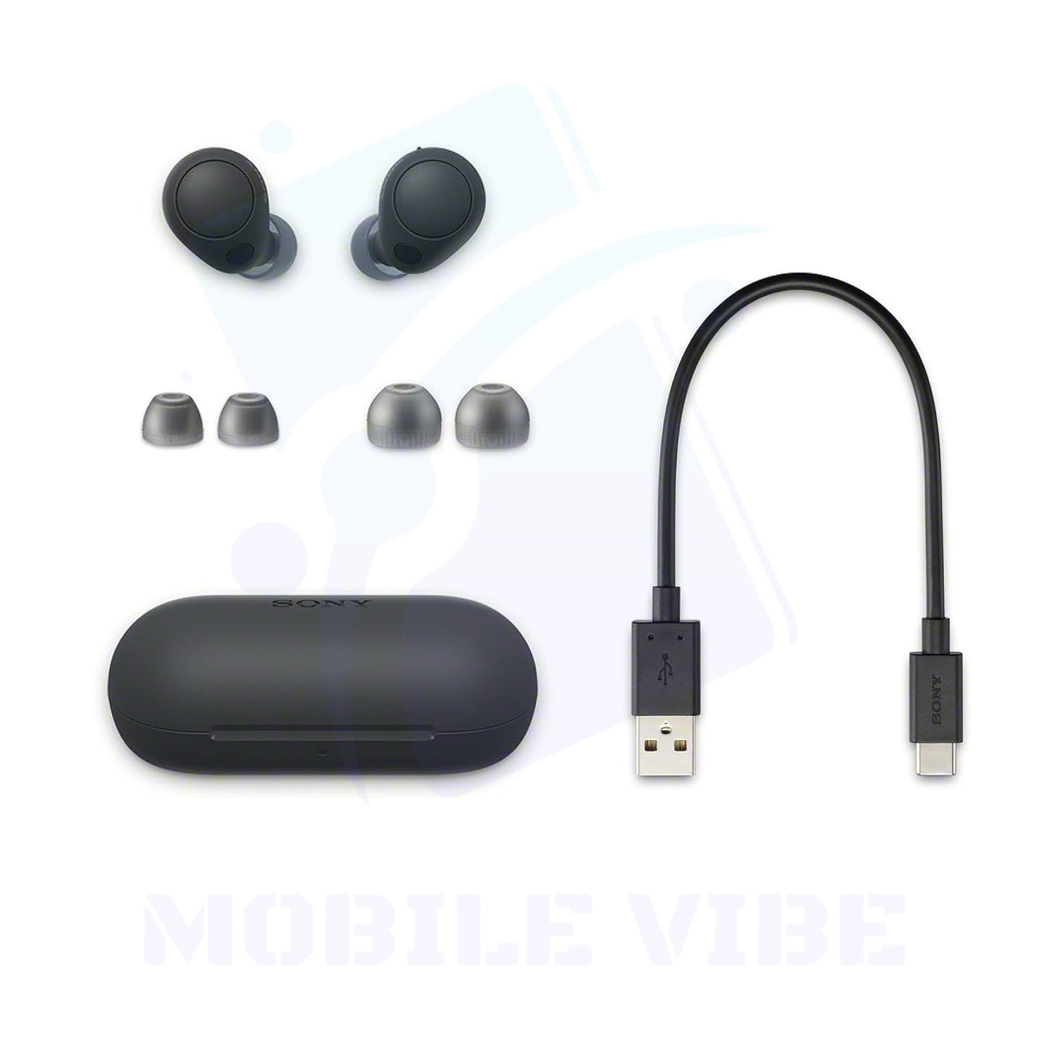 Sony WF-C700N True Wireless Bluetooth Noise cancelling in-ear Headphones with box items