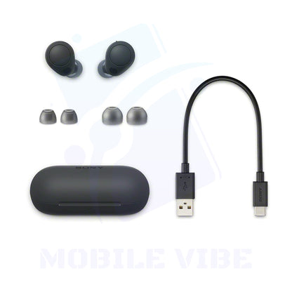 Sony WF-C700N True Wireless Bluetooth Noise cancelling in-ear Headphones with box items
